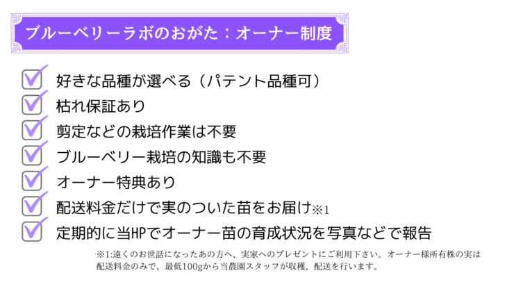 ブルーベリーラボのおがた独自のサービス