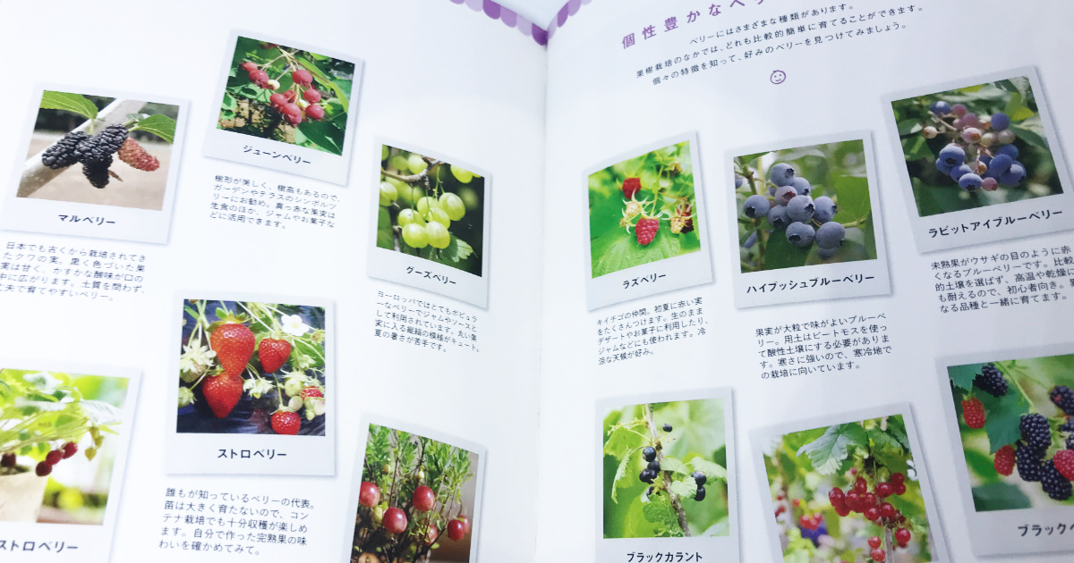 ベリー栽培を知るならこの本！｜おいしいベリーを育てる本の書評