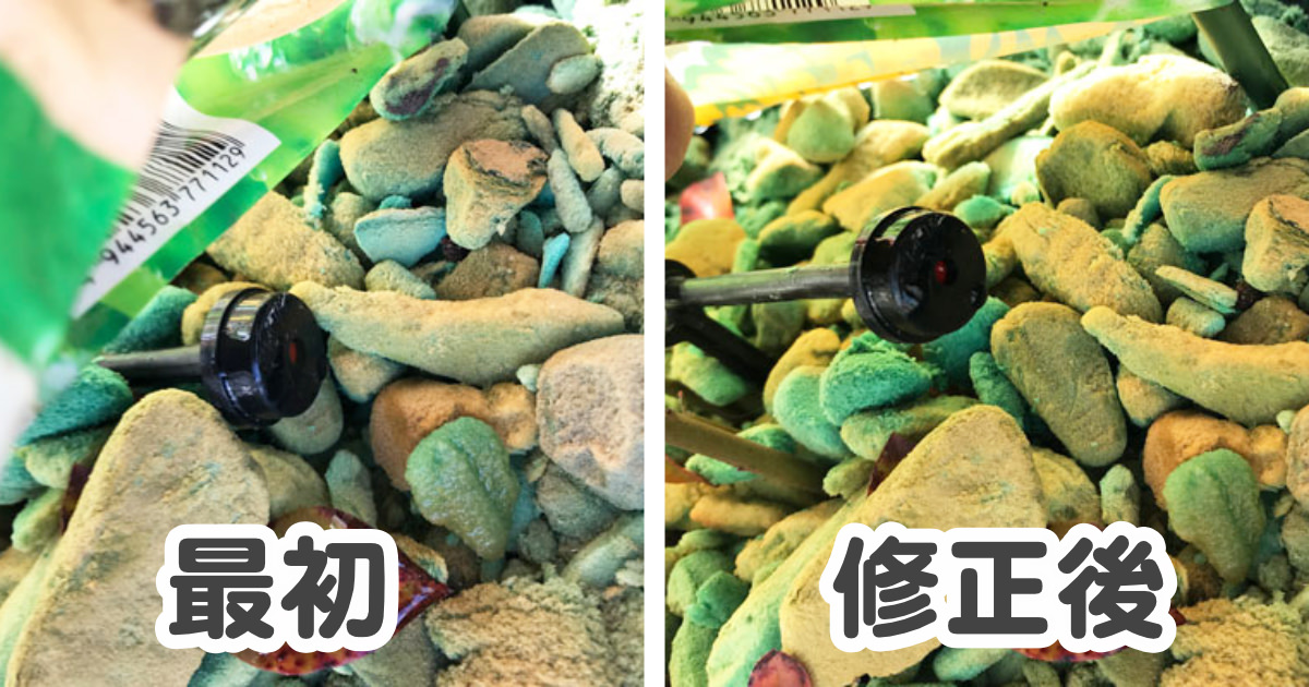 【ブルーベリー養液栽培】ドリップピンの正しい場所はここです