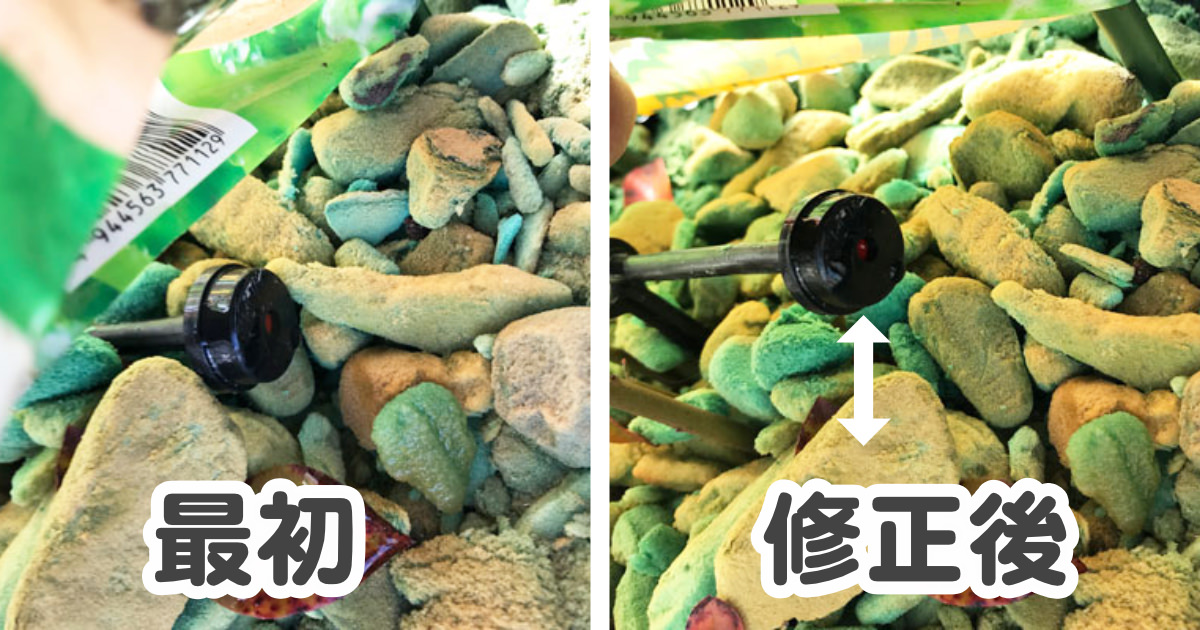 【ブルーベリー養液栽培】ドリップピンの正しい場所はここです