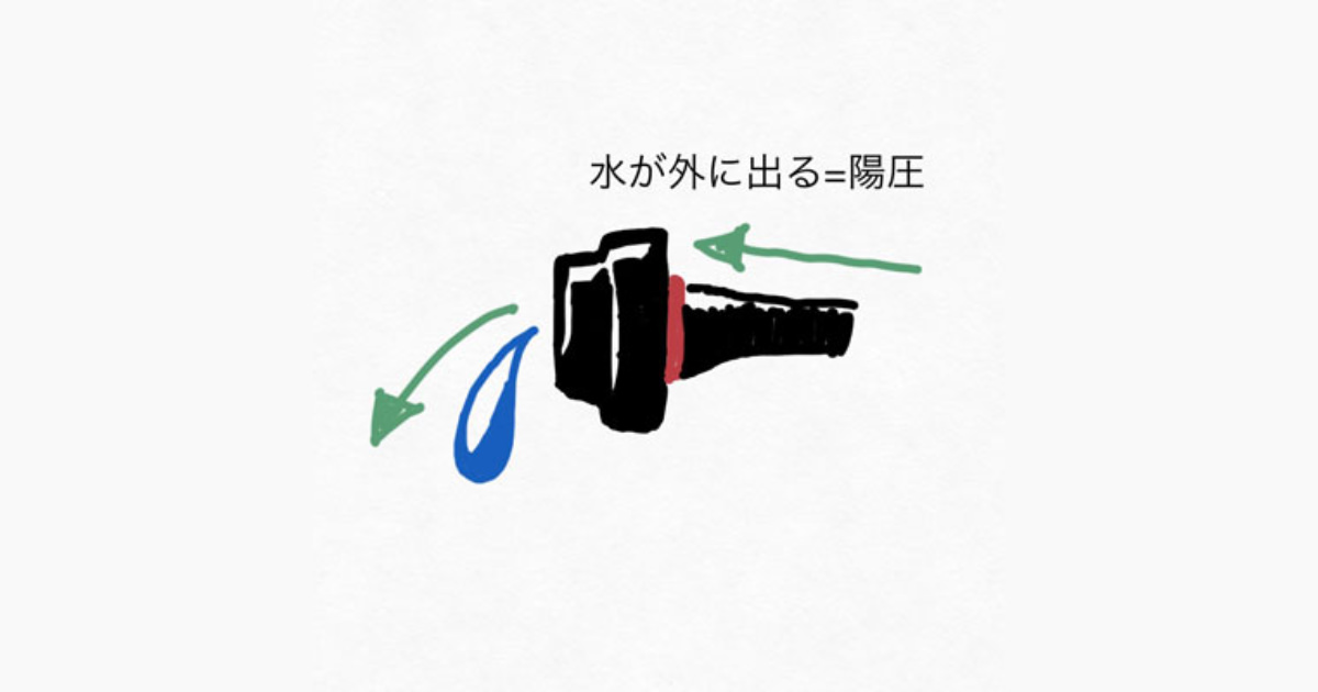 【ブルーベリー養液栽培】ドリップピンの正しい場所はここです