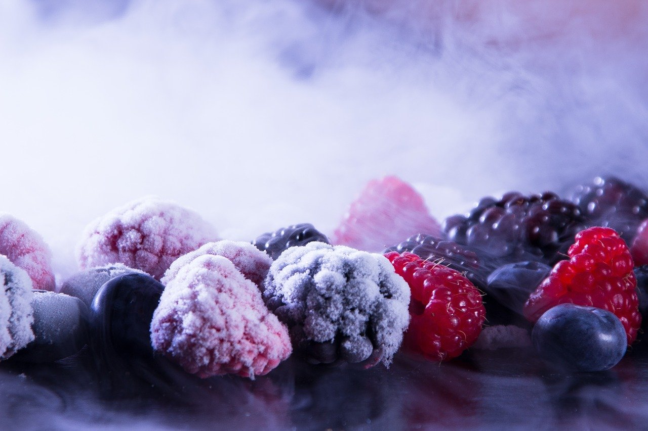 ブルーベリーを冷凍保存すると栄養価はそのままで吸収力はアップ！