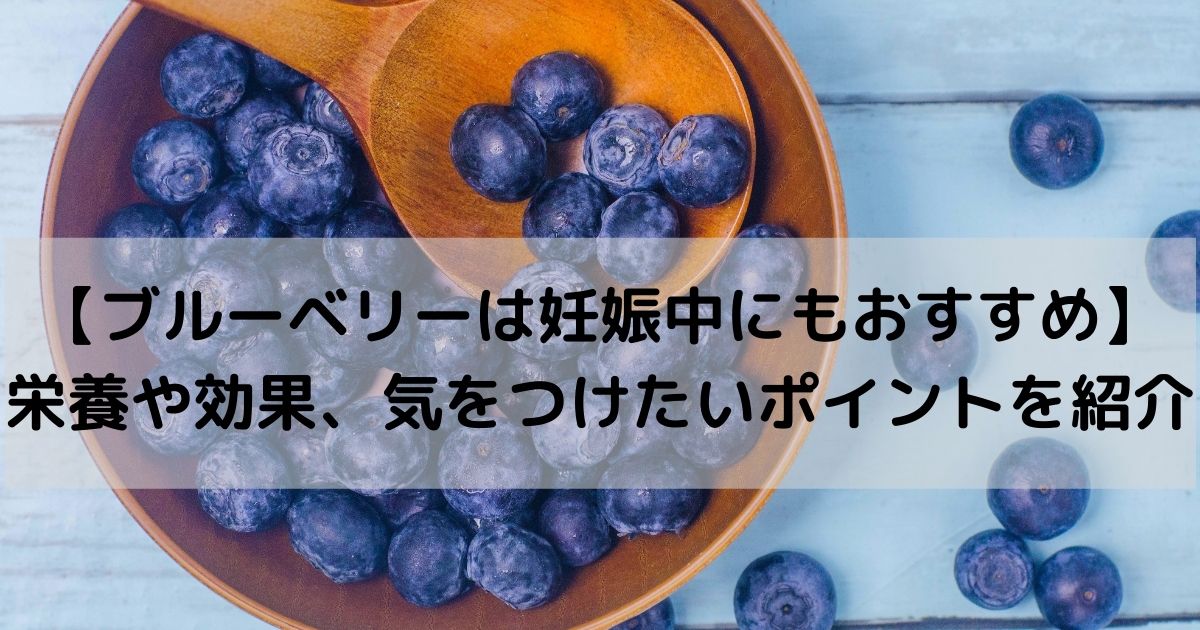 ブルーベリーは妊娠中にもおすすめ 栄養や効果 気をつけたいポイントを紹介 福岡県直方市にあるブルーベリー狩り観光農園 ブルーベリーラボのおがた