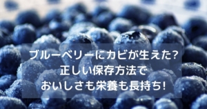 これは病気 ブルーベリー栽培で枝が黒くなって枯れてきた 枝枯れ病 福岡県直方市にあるブルーベリー狩り観光農園 ブルーベリーラボのおがた