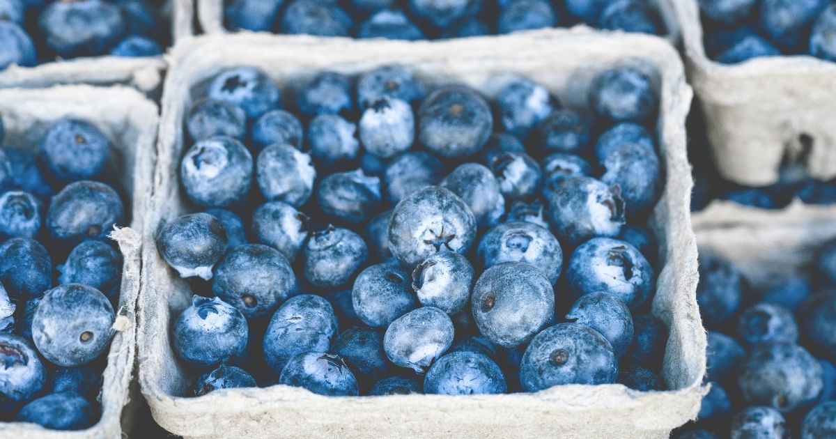 農薬 ブルーベリーの白い粉の正体について調べてみました 福岡県直方市にあるブルーベリー狩り観光農園 ブルーベリーラボのおがた