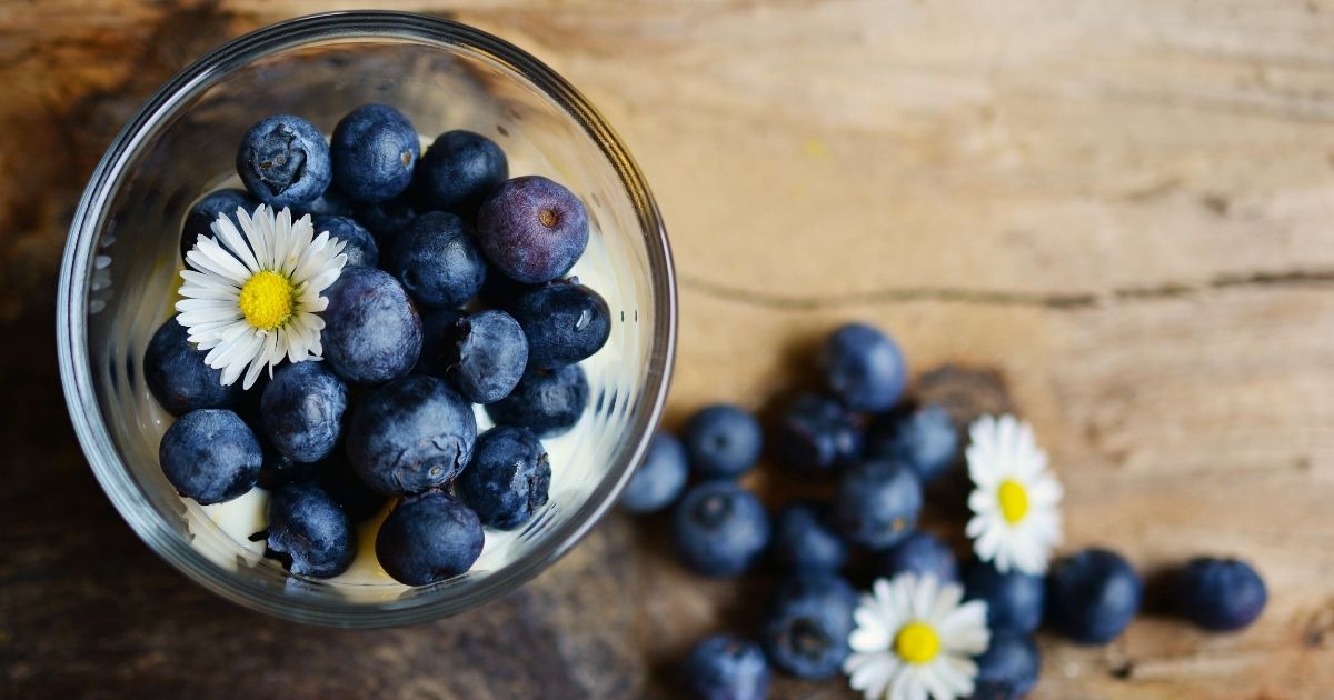 農薬 ブルーベリーの白い粉の正体について調べてみました 福岡県直方市にあるブルーベリー狩り観光農園 ブルーベリーラボのおがた