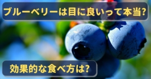 ブルーベリージャムを作るときにペクチンは必要 代用品や健康効果も解説 福岡県直方市にあるブルーベリー狩り観光農園 ブルーベリーラボのおがた