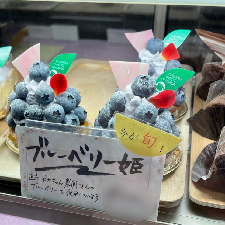 福岡県直方市の菓子工房オヤマダの「ブルーベリー姫」