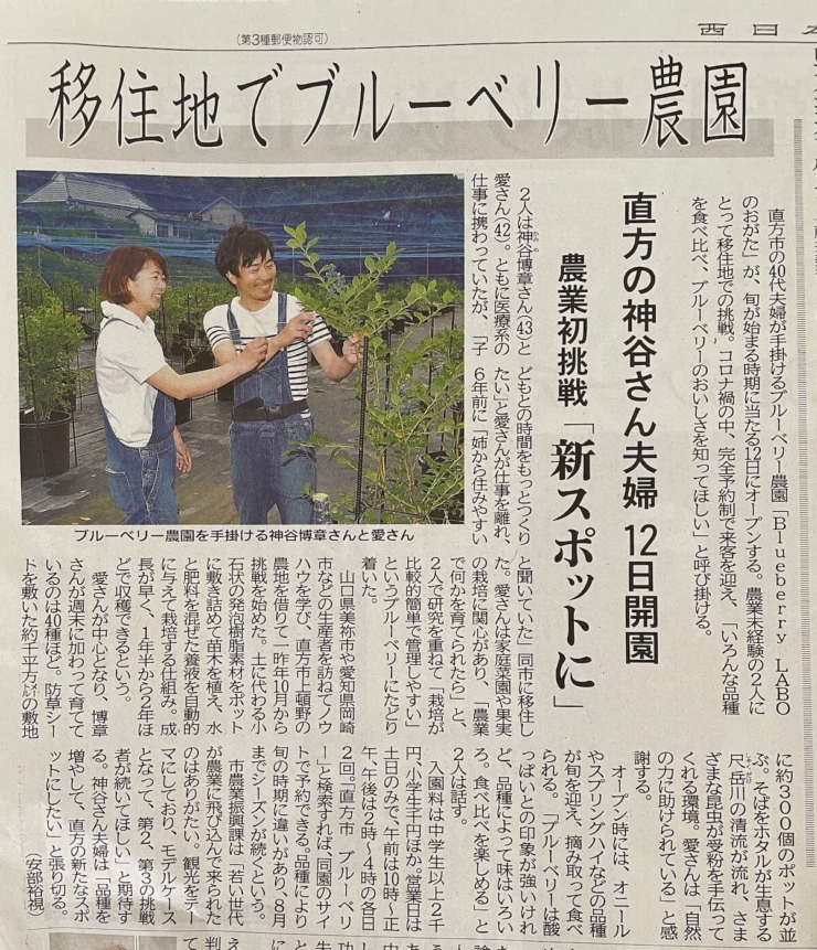 福岡県直方市のブルーベリー食べ比べ農園「ブルーベリーラボ直方」の新聞記事（2021年6月西日本新聞）