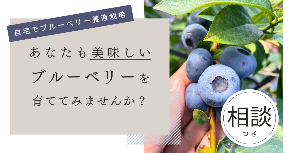 かんたんキット